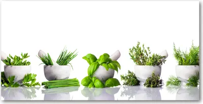 Produktbild von Tulup Glas-Bild -140x70- Wandkunst Dekorative Wand für Küche & Wohnzimmer - Blumen & Pflanzen - Kräuter - Grün