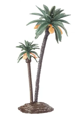 Produktbild von Palme 2-Fach Ca. 12 U. 18Cm