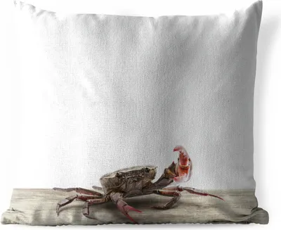 Produktbild von MuchoWow® Outdoor Kissen - Kinder - Krabbe - Meerestiere - Jungen - Mädchen - Kinder - 45x45 cm - Wetterfest - Lounge Kissen - Fotokissen - Dekoratives Kissen