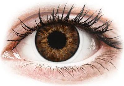 Produktbild von Air Optix Colors - Brown - ohne Stärke (2 Linsen) Stärke: 0.00, BC: 8.60, DIA: 14.20