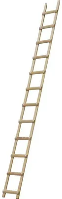 Image de Echelle plate de toit RICHOMME 4.00 m écart.33 cm - B3140033
