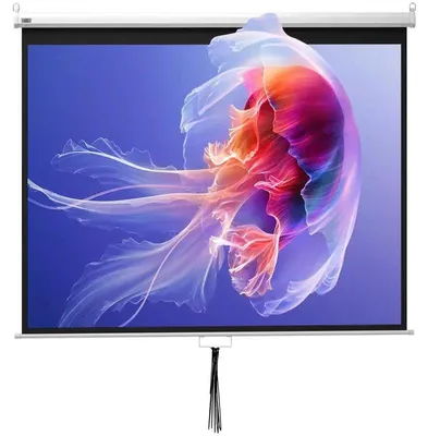 Obrázok produktu pre Projekčná plátna / Projekčné plátna - 183 cm - formáty 16:9 a 4:3 - výškovo nastaviteľné - prenosné - biela a čierna