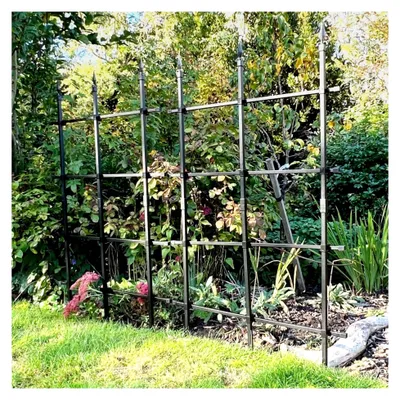 Produktbild von Rankgitter für Kletterpflanzen im Garten | Metallrosenzaun, freistehender Sichtschutz für Gartengrenzen, Pflanzenstütze für Blumen und Reben - Rostfrei (Schwarz, 180x180cm hoch)