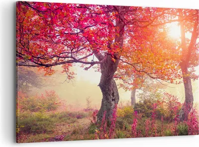Produktbild von Bild auf Leinwand - Leinwandbild - Baum Natur Wiese - 120x80cm - Wand Bild - Wanddeko - Wandbilder - Leinwanddruck - Bilder - Kunstdruck - Wanddekoration - Leinwand bilder - Wandkunst - AA120x80-3658