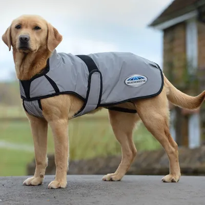Produktbild von Weatherbeeta Comfitec Reflective Hundemantel Medium - Größe 30 - Hundedecke