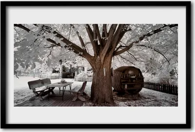 Produktbild von Bild 60x40 MDF-Rahmen Wandkunst Baum Natur
