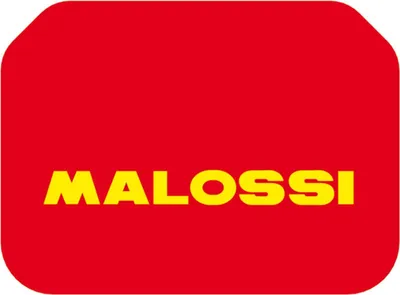 Immagine prodotto di Inserto filtro aria Malossi Red Sponge compatibile con Suzuki Burgman 400