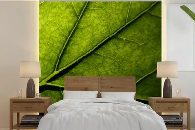 Produktbild von MuchoWow® Fototapete für Wohnzimmer oder Schlafzimmer Wandtapete Vinyl Motivtapete Nahaufnahme eines Blattes - 240x240 cm - Schlafzimmer-Tapete