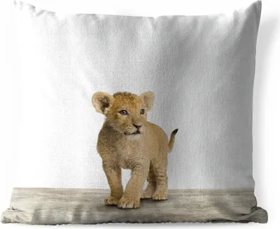 Produktbild von MuchoWow® Outdoor Kissen - Löwe - Junge - Kinder - Jungen - Tiere - Mädchen - 40x40 cm - Wetterfest - Lounge Kissen - Kopfkissen - Interieur - Polster mit Bild