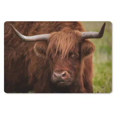 Produktbild von MuchoWow® Mauspad Mousepad Schottischer Highlander - Orange - Tiere 27x18 cm - Mousepads - Maus Mat - Pad - Mausunterlage - Büroartikel - Desk Matten