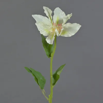 Produktbild von artplants.de Künstliche Blume Clematis JINJIN, Creme, 50 cm - Künstliche Stielblume
