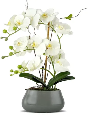Productafbeelding van Kunstorchidee met vaas - Nep bloemen - Huis decoreren - Natuurlijke uitstraling - 52 cm hoog - Wit