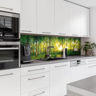 Produktbild von Dedeco Küchenrückwand Motiv: Wald V1, 5mm Hartschaum Kunststoffplatte PVC als Spritzschutz Küchenwand Wandschutz wasserfest, inkl. UV-Lack matt, alle Untergründe, 220 x 60 cm