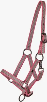 Immagine prodotto di QHP Halter Yearling Collection Flamingo FS/25, Taglia:Yearling