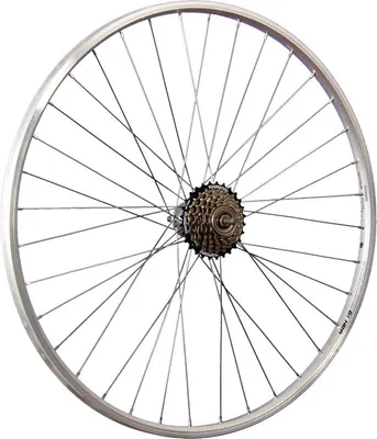 Produktbild von 28 Zoll Hinterrad Yak19 Hohlkammerfelge mit 6 fach Shimano Schraubkranz - silber