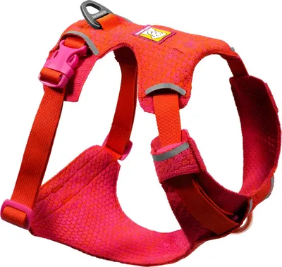 Produktbild von Ruffwear Hundegeschirr Front Range® Flex Harness Rose Violet, Größe: M