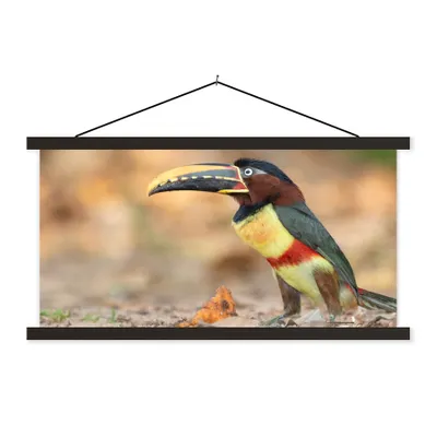 Produktbild von MuchoWow® Textilposter Vogel - Tukan - Federn - Natur 150x75 cm mit schwarzem Rahmen - Posterleiste
