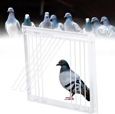 Image de Porte de cage T-Trap pour pigeons - 33 x 26 cm