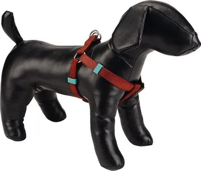 Produktbild von Famanu Hundegeschirr – Stufenlos verstellbar – Langlebig – Schwarz