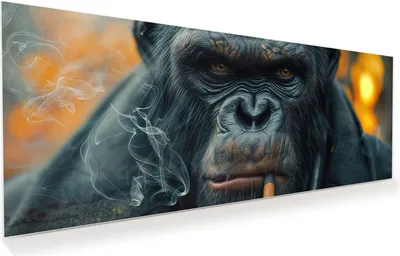 Produktbild von Glasbild 100x40cm in XXL für Wohnzimmer, Schlafzimmer Motiv Rauchender Affe