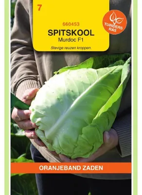 Immagine prodotto di Oranjeband: Cavolo cappuccio (Spitzkohl) - 1 confezione di semi