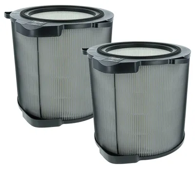 Produktbild von vhbw 2x H12 Filter Ersatz für AEG 900 923 303, AFDCAR4 für Luftreiniger - Ersatz-Filter