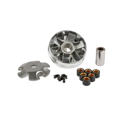 Image de Variateur MOTOFORCE pour moteurs verticaux et horizontaux Peugeot
