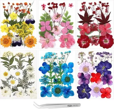 Productafbeelding van Famanu gedroogde bloemen voor creatieve projecten - 77 stuks