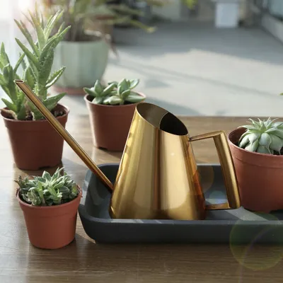 1300ml Kleine Edelstahl Gießkanne Wasserkocher Gartengießkanne (gold)