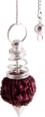 Produktbild von Pendel Rudraksha