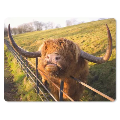 Produktbild von MuchoWow® Mauspad Mousepad Scottish Highlander - Zaun - Gras 23x19 cm - Mousepads - Maus Mat - Pad - Mausunterlage - Schreibtischunterlage - Mauspad