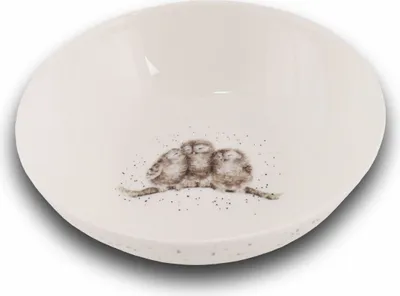 Produktbild von Wrendale Designs Porzellan Müsli Schale Eulen ca. 400ml