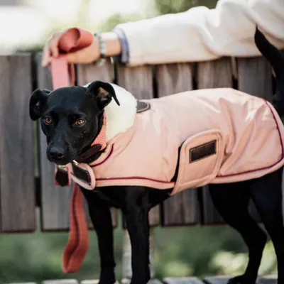 Obrázek produktu pro Kentucky Dogwear Voděodolný kabát pro psy 160g - Koralle