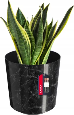 Produktbild von KADAX Blumentopf "Belvi", Pflanzkübel aus Kunststoff, Pflanzentopf, Topf für Pflanzen, 25 cm, Marmor Schwarz