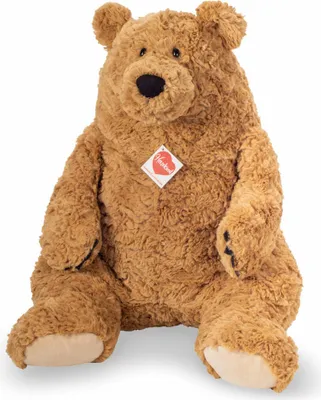 A plush teddy bear sits facing the camera against a white background.