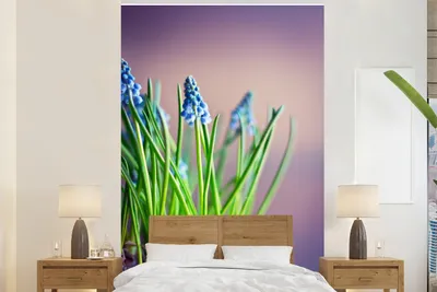 Produktbild von MuchoWow® Fototapete für Wohnzimmer oder Schlafzimmer Wandtapete Vinyl Motivtapete Traubenhyazinthenblüten mit buntem Hintergrund - 170x260 cm - Wohnzimmertapete