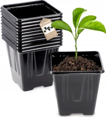Produktbild von KADAX Blumentopf für Setzlinge "Corse", Anzuchttöpfe aus Kunststoff, Saattöpfe anzucht, quadratische, 7 cm, 12 Stück
