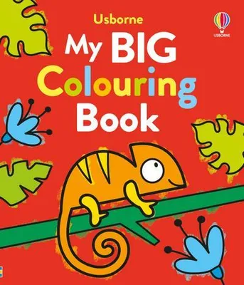Imagen del producto de My Big Colouring Book
