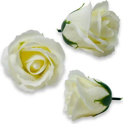 Produktbild von Cremefarbene Seifenrose für DIY Flowerboxen