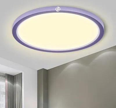 Image de Plafonnier pour salle de bain - Gamme Premium - 1 ampoule - Salle de bain - Lampe LED