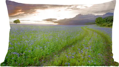 Produktbild von MuchoWow® Zierkissen Sofakissen Wohnzimmer Dekokissen 60x40 cm Sonnenuntergang - Blumen - Farben - Kopfkissen - Polster mit Foto