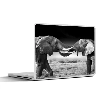 Produktbild von MuchoWow® Laptop Aufkleber Sticker Cover Elefant - Tiere - Schwarz und weiß - Porträt - Landschaft 40x30 cm - Laptop Dekoration - Selbstklebend