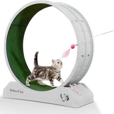 Produktbild von Katzenlaufrad – Katzenrad – Laufrad für Katzen – Fitnessrad für Katzen – Durchmesser 80 cm – Stilvoll und langlebig