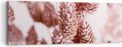 Produktbild von Bild auf Leinwand - Leinwandbild - Einteilig - Getrocknet Blume Eco - 90x30cm - Wand Bild - Wanddeko - Wandbilder - Leinwanddruck - Bilder - Wanddekoration - Leinwand bilder - Wandbild - AB90x30-4912