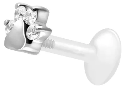 Produktbild von Ohrpiercing, Nasenpiercing PTFE Labret mit Innengewinde + Titan-Aufsatz KRISTALLPFOTE Silber Stablänge: 6mm | Stabstärke: 1,2mm