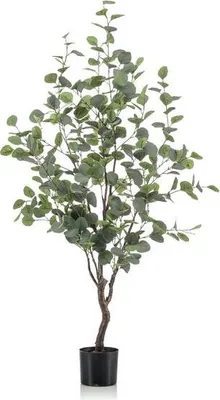 Obrázok produktu pre Umelá rastlina - eukalyptus, modrý kaucukovník Ø120cm - umelá zelená rastlina