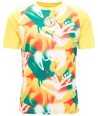 Produktbild von Puma FSF Warm Up Jersey, Größe:L