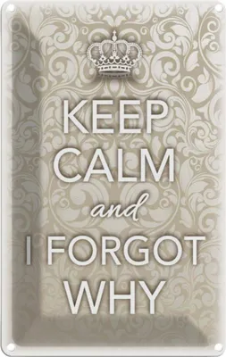 Produktbild von vianmo Blechschild 30x20 cm Keep Calm and i forgot why Yoga