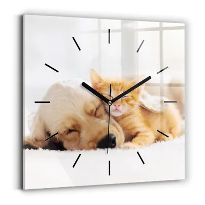 Produktbild von Wallfluent Wanduhr – Stilles Quarzuhrwerk - Uhr Dekoration Wohnzimmer Schlafzimmer Küche - Zifferblatt mit Striche - schwarze Zeiger - 30x30 cm - Schlafende Katze und Hund