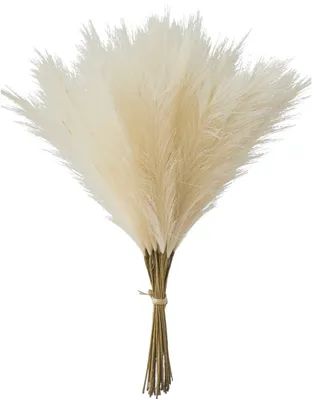 Immagine prodotto di Erba di pampa artificiale 20 pezzi beige fronde di canne decorative